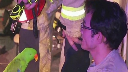 طوطي د خپل مالک ژوند بچ کړ 