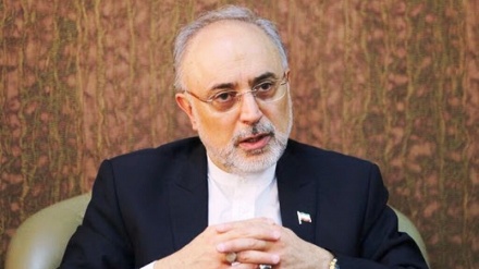 Irán comunica a AIEA sobre producción de combustible con uranio enriquecido al 20%