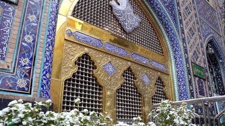 ترنم باران