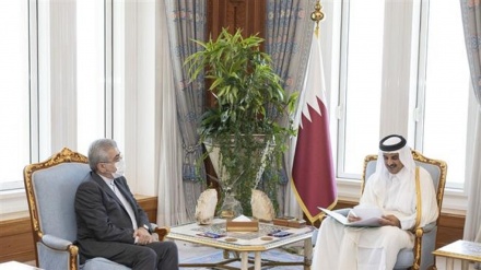 Iranian energy minister in Qatar to expand bilateral agreements