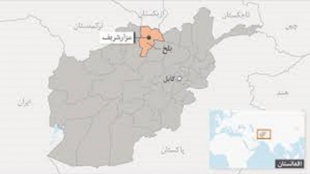 فعالان مدنی در ولایت بلخ خواهان آتش بس در کشور شدند+صوت 