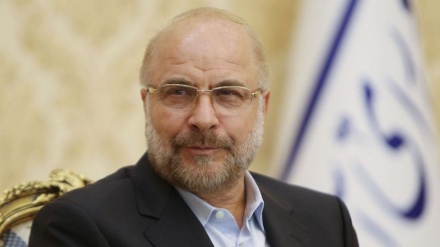 Поздравительное послание Калибафа спикерам парламентов христианских стран