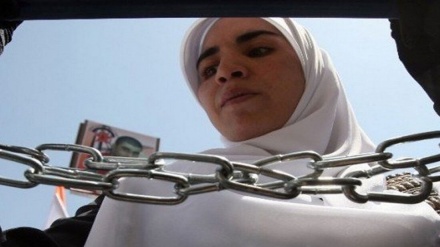 Torturohet një grua palestineze në burgjet e regjimit sionist