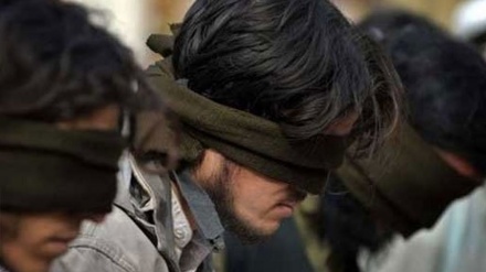 4名恐怖分子在巴基斯坦被捕