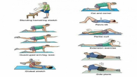 Машқҳои барои халос шудан аз дарди камар