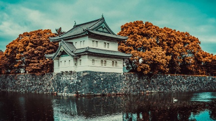 2021年の皇居の新年一般参賀、新型コロナで見送りの見通し