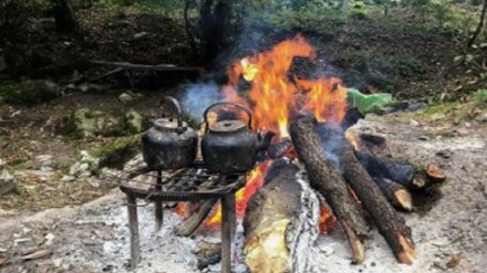 (FOTO DEL GIORNO) No comment