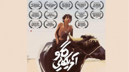 伊朗短片在美国阿灵顿电影节获奖