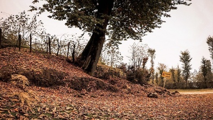 吉兰省埃什科拉特村庄秋天的自然风光