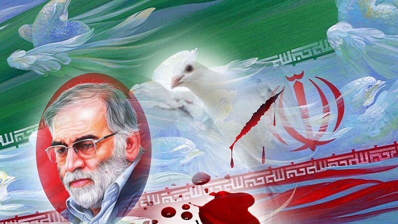 ردپای رژیم صهیونیستی در ترور دانشمند ایرانی مشهود است