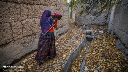 L'autunno nelle vie di Yazd (IMMAGINI)