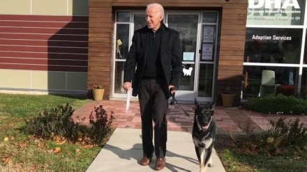 Biden distorsione alla caviglia, è idoneo a ricoprire l'incarico alla Casa Bianca?