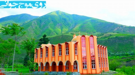 روی موج جوانی