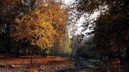bagtyýarlyk çeşmesi 