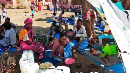  Refugee settlement plunging in 2020: UN 