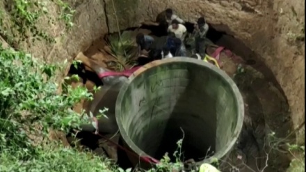 インド南部で、井戸に落ちたゾウが救出