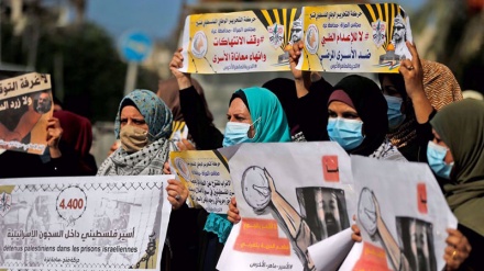 Zionist entity detained 446 Palestinians in occupied territories in October