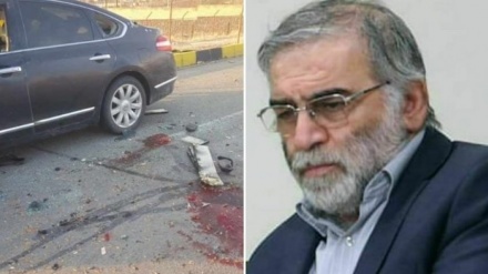 UAE, Jordan condemn assassination of Iranian nuclear scientist and researcher
