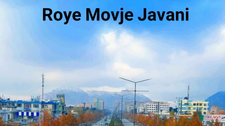 روی موج جوانی