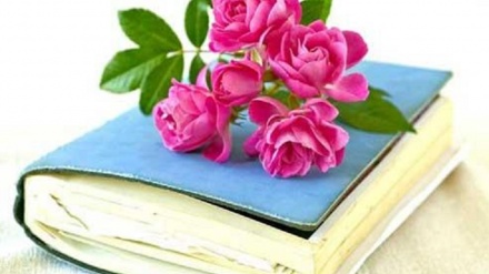 روی موج جوانی