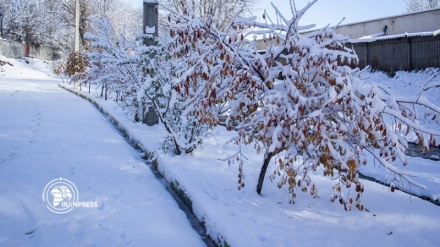 Video: La primera nevada del otoño en Ardebil