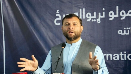  کشته‌شدن 37 جنگجوی طالبان درولایت ننگرهار