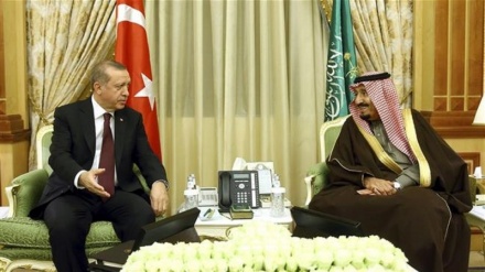 Türkischer Präsident und saudischer Monarch sprechen vor G20-Gipfel über bilaterale Beziehungen
