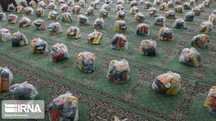 Qilonədə NAJA məyişəti paketon çı Koronaku ziyon vində kəson miyono pevolo kardey