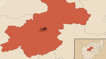 نگرانی مردم از حضور افراد مسلح وابسته به گروه های تروریستی در غور‎+صوت