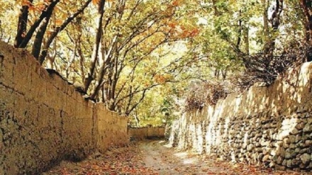 Кӯчаҳои хокӣ