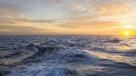 Անհայտ մաշկային հիվանդության բռնկումից հետո,  Սենեգալում ձկնորսներին արգելել են ծով դուրս գալ 