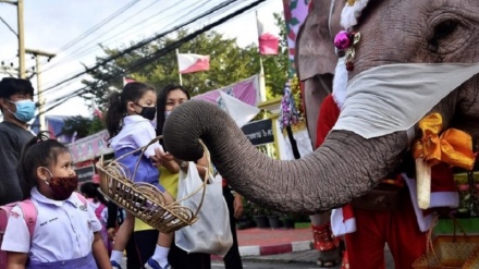 タイで、マスク着用のゾウサンタからプレゼント