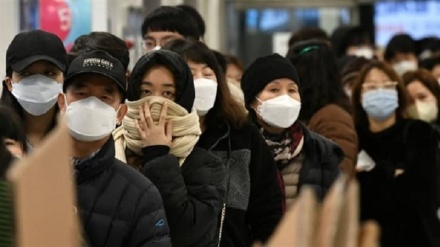 How have philosophers responded to pandemic?