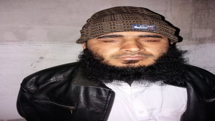 بازداشت مسئول مالی گروه داعش در ننگرهار 