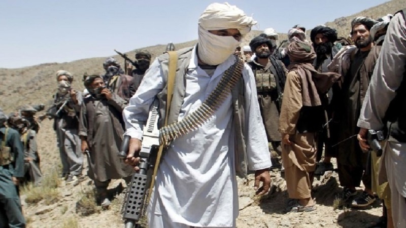 کشته شدن 15 طالب مسلح در حملات نیروهای امنیتی افغانستان