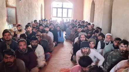 طالبان ۹۰ نیروی امنیتی دولت افغانستان را آزاد کرد