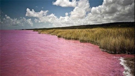 Липор пуштиранг ботқоқлиги