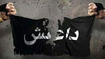 伊拉克针对达易沙制定新的战略计划