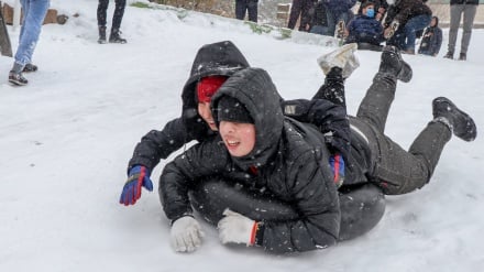 Salju Turun, Warga Alborz Gembira dan Bermain Salju