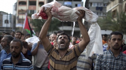 イスラエル軍により、7年で155人のパレスチナ人の子どもが殉教