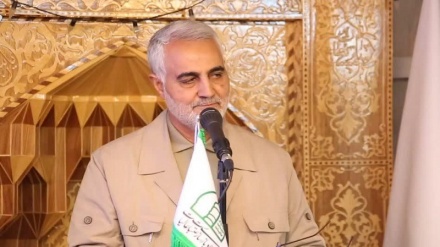 土耳其法学家就美以暗杀苏莱曼尼烈士的意图发表言论