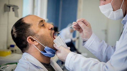 Korona surətinə testi kiti istehsoli xətt