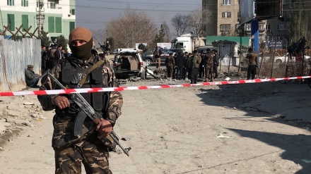Taliban kill 13 Afghan policemen in checkpoint attacks