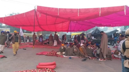 কৃষক আন্দোলন: পাঞ্জাবে বিজেপি নেতার বাড়ির সামনে গোবর ঢেলে দিলেন বিক্ষোভকারীরা