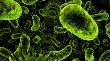 巴基斯坦发现英国新变种新冠病毒