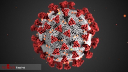 2020 йилнинг энг яхши илмий фотосуратлари (фотожамланма)