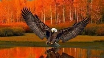 روی موج جوانی(بیداری)