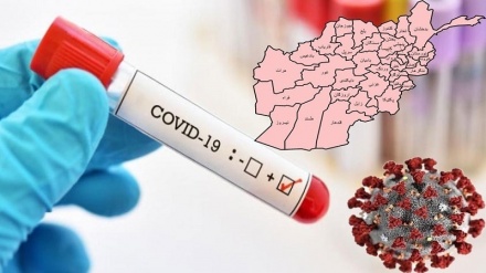 کرونا در افغانستان؛ شناسایی ۲۱۱ ابتلای جدید و فوت ۱۵ نفر