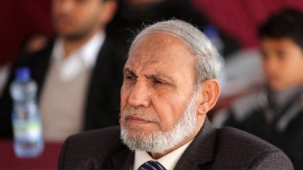 扎哈尔：与伊朗和叙利亚合作可以解放巴勒斯坦