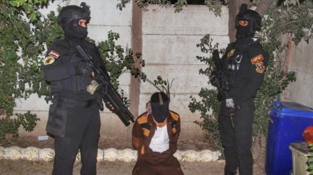 一名达易沙主要领导人在伊拉克西部被捕